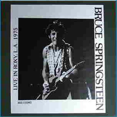 Bruce Springsteen - Boss Essence download mp3 flac