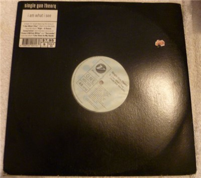 Single Gun Theory - I Am What I See download mp3 flac