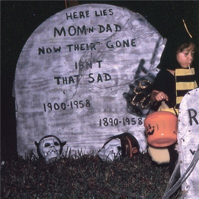 The Spirit Of The Beehive - The Spirit Of The Beehive download mp3 flac
