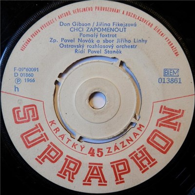 Pavel Novák / Jaromír Mayer - Chci Zapomenout / Slunce V Očích download mp3 flac