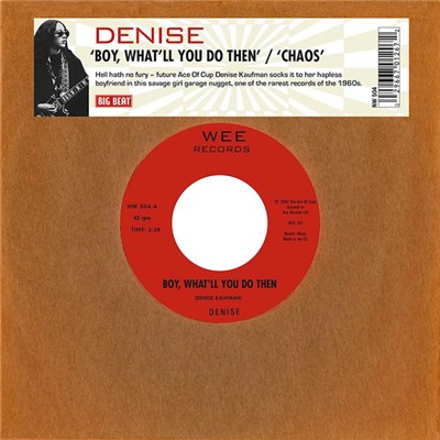 Denise / Denise & Co. - Boy, What'll You Do Then? / Chaos download mp3 flac