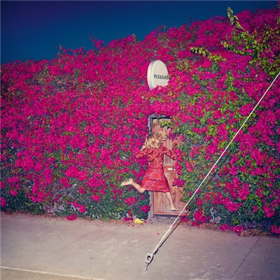 Feist - Pleasure download mp3 flac