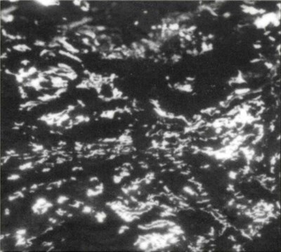 Grouper - A I A download mp3 flac