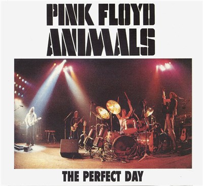 Pink Floyd - The Perfect Day download mp3 flac