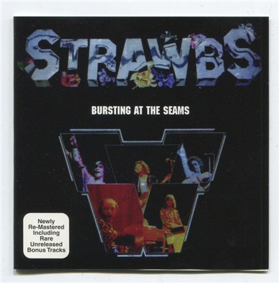 Strawbs - Bursting At The Seams download mp3 flac