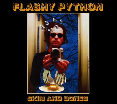Flashy Python - Skin And Bones download mp3 flac