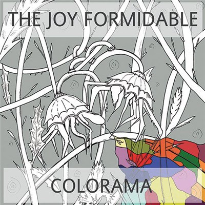 The Joy Formidable / Colorama - Yn Rhydiau'r Afon / Forget Tomorrow download mp3 flac