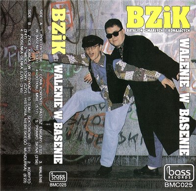 BZiK - Walenie W Basenie download mp3 flac