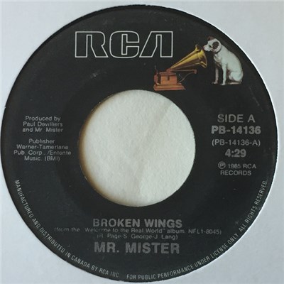Mr. Mister - Broken Wings download mp3 flac