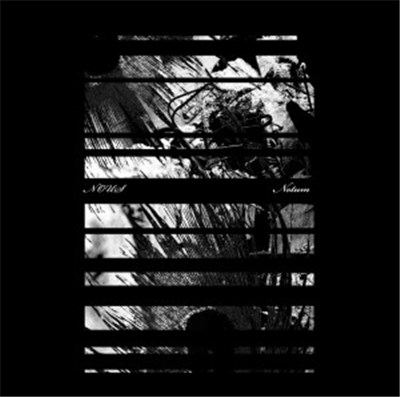 Nous - Notum download mp3 flac