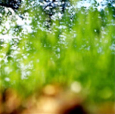 Stephen Vitiello & Pauline Oliveros - Minutes After Frogs download mp3 flac