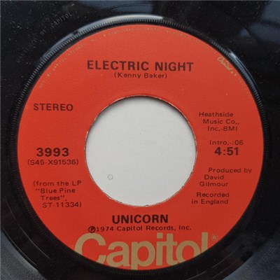 Unicorn - Electric Night / Blue Pine Trees download mp3 flac