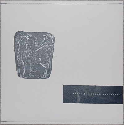 Small Cruel Party / Chop Shop - Scmaolpl -C-r-u-e-l- Psahrotpy download mp3 flac