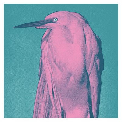 Joannes - Got Needs download mp3 flac