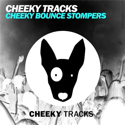 Various - Cheeky Bounce Stompers download mp3 flac