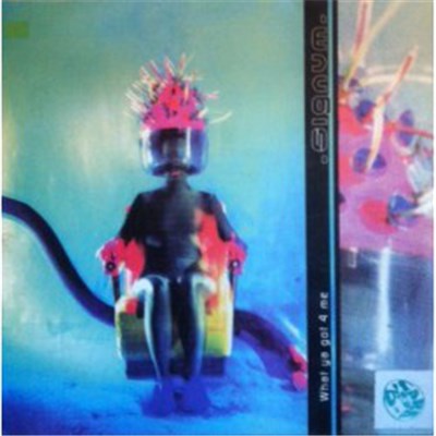 Signum - What Ya Got 4 Me download mp3 flac