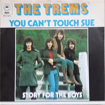 The Trems - You Can't Touch Sue download mp3 flac