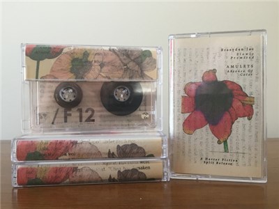 Braeyden Jae / Amulets - Split download mp3 flac