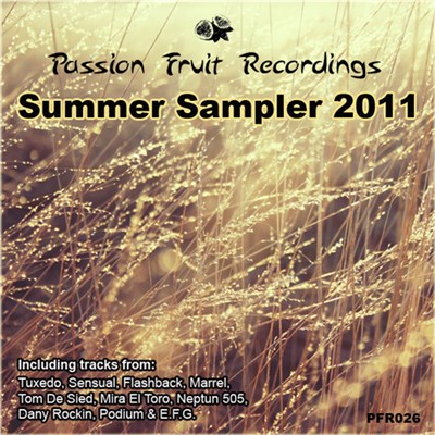 Various - Summer 2011 Sampler download mp3 flac