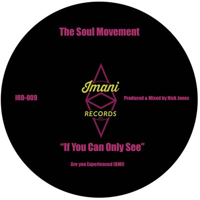 Soul Movement - If You Can Only See download mp3 flac