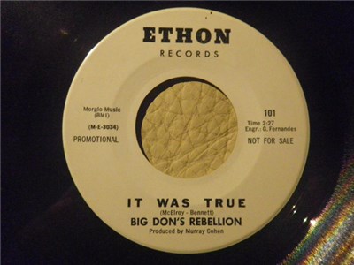 Big Don's Rebellion - It Was True / Smokin' download mp3 flac
