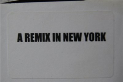 Sting - Englishman In New York (Remix) download mp3 flac