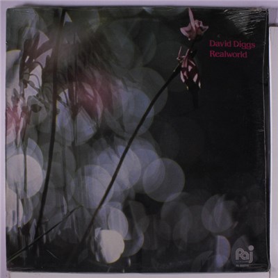 David Diggs - Realworld download mp3 flac