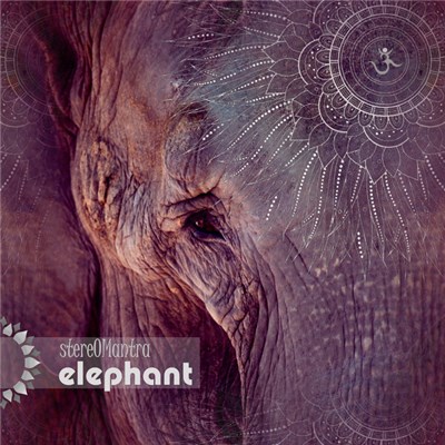 StereOMantra - Elephant download mp3 flac