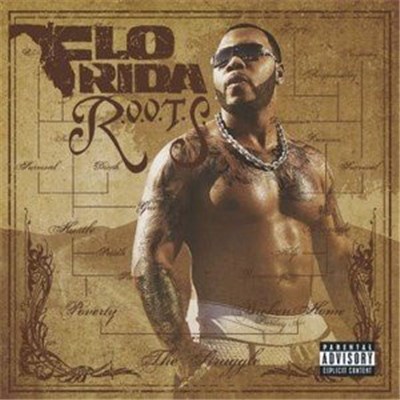 Flo Rida - R.O.O.T.S. Route Of Overcoming The Struggle download mp3 flac
