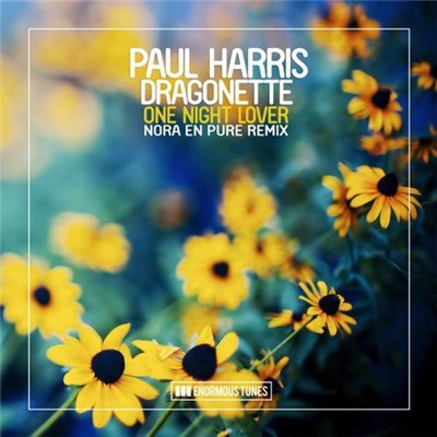 Paul Harris, Dragonette - One Night Lover (Nora En Pure Remix) download mp3 flac