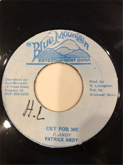 Patrick Andy - Cry For Me download mp3 flac