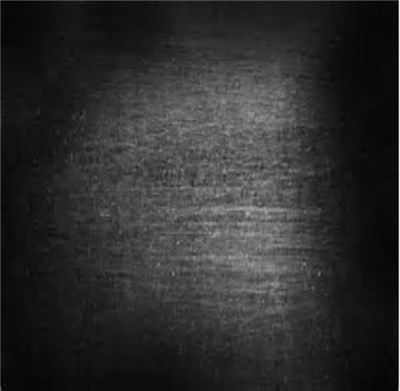 She Is Cruel, But I Love Her - These Weeds Must Be Taken Up By The Root download mp3 flac