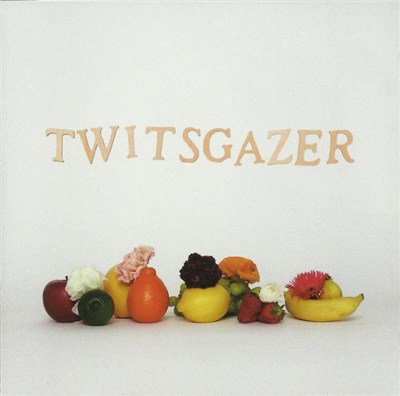 Various - Twitsgazer download mp3 flac