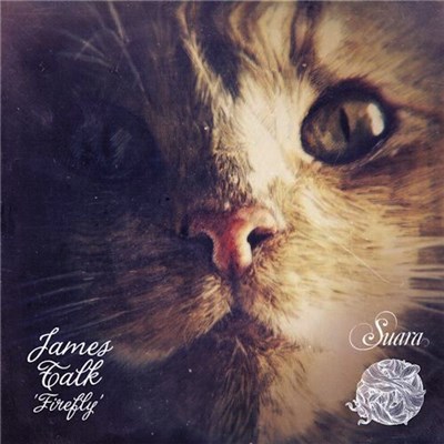 James Talk - Firefly download mp3 flac