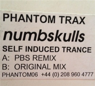 The Numbskulls - Self Induced Trance download mp3 flac
