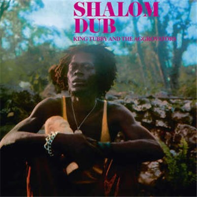 King Tubby And The Aggrovators - Shalom Dub download mp3 flac