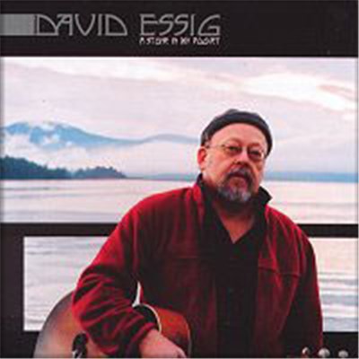 David Essig - A Stone In My Pocket download mp3 flac
