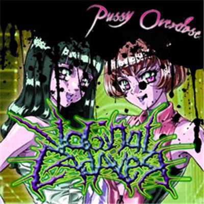 Vaginal Cadaver - Pussy Overdose download mp3 flac
