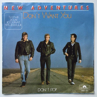 New Adventures - Don't Want You download mp3 flac