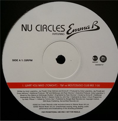 Nu Circles - What You Need (Tonight) download mp3 flac