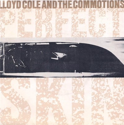 Lloyd Cole & The Commotions - Perfect Skin download mp3 flac