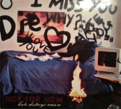 Not For Now - Hate Destroys Reason download mp3 flac