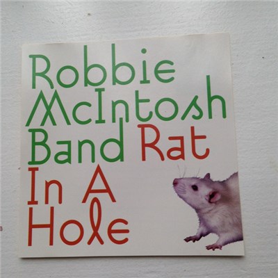 Robbie McIntosh Band - Rat In A Hole download mp3 flac