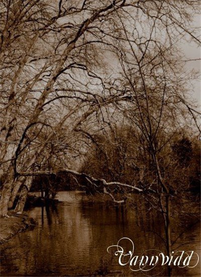 Vannvidd - Sinistres Paysages download mp3 flac