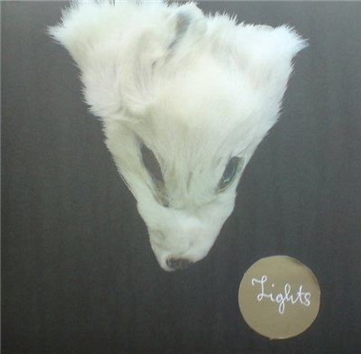 Lights - Lights download mp3 flac