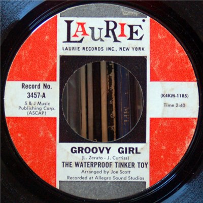 The Waterproof Tinker Toy - Groovy Girl / This And That download mp3 flac
