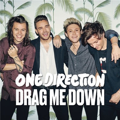 One Direction - Drag Me Down download mp3 flac
