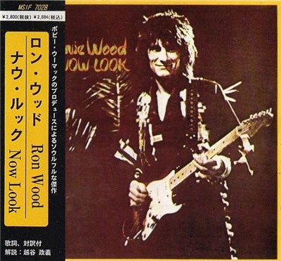 Ronnie Wood - Now Look download mp3 flac