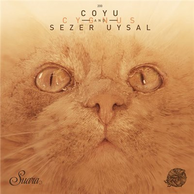 Coyu And Sezer Uysal - Cygnus download mp3 flac