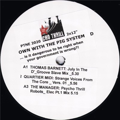 Various - Down With The Pig System...Is It Dangerous To Be Right When Your Government Is Wrong?! download mp3 flac